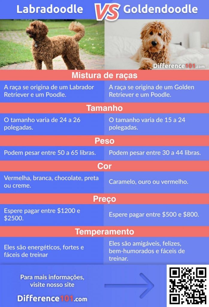 A principal diferença entre um Labradoodle e o Goldendoodle são as raças envolvidas no cruzamento. Labradoodle inclui Labrador Retriever de raça pura como seu ancestral, enquanto que o Goldendoodle inclui Golden Retriever de raça pura como seu ancestral. Labradoodle é um pouco reservado em comparação ao Goldendoodle, mas carrega mais energia para executar qualquer tarefa física.