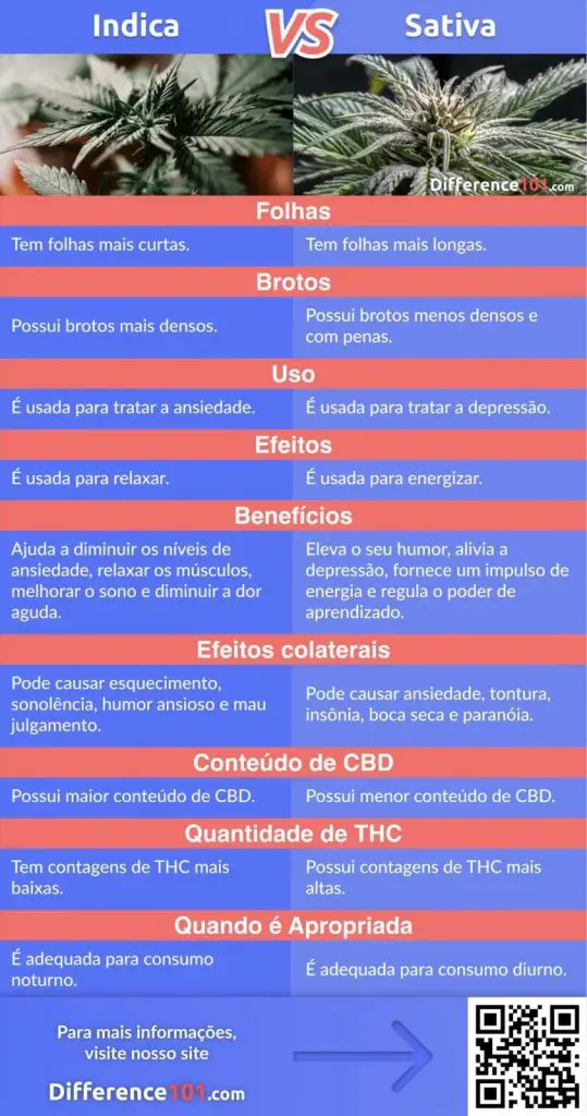 Qual é a Diferença Entre as Linhagens de Maconha Indica vs Sativa e Híbrida?