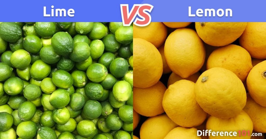 Lime vs. Lemon Differences, Pros & Cons, Health Difference 101