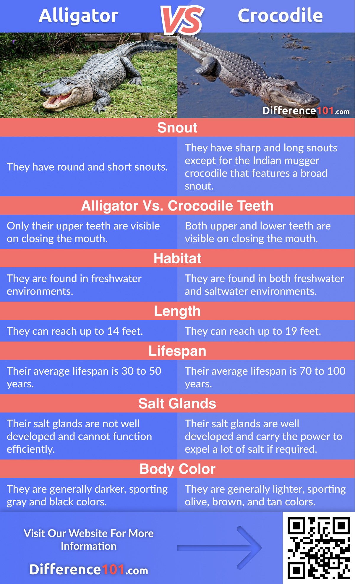 Alligator vs Crocodile Size, Pros & Cons - 6 Key Differences