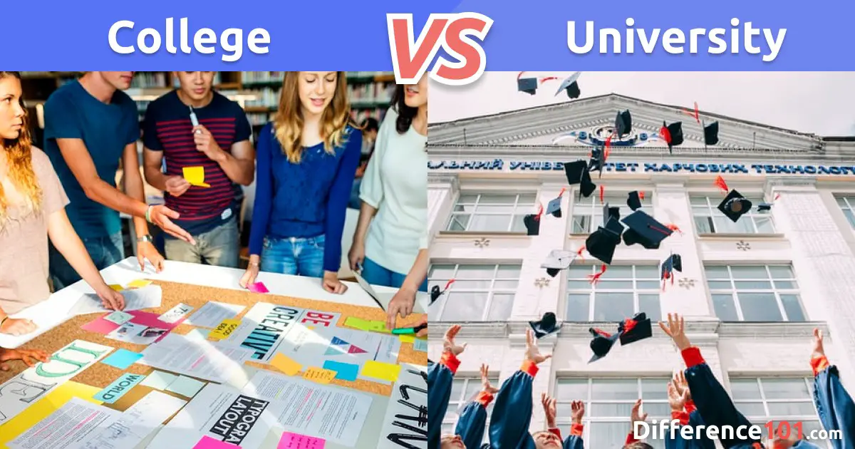 Equity reviews comparisons pros cons difference 101