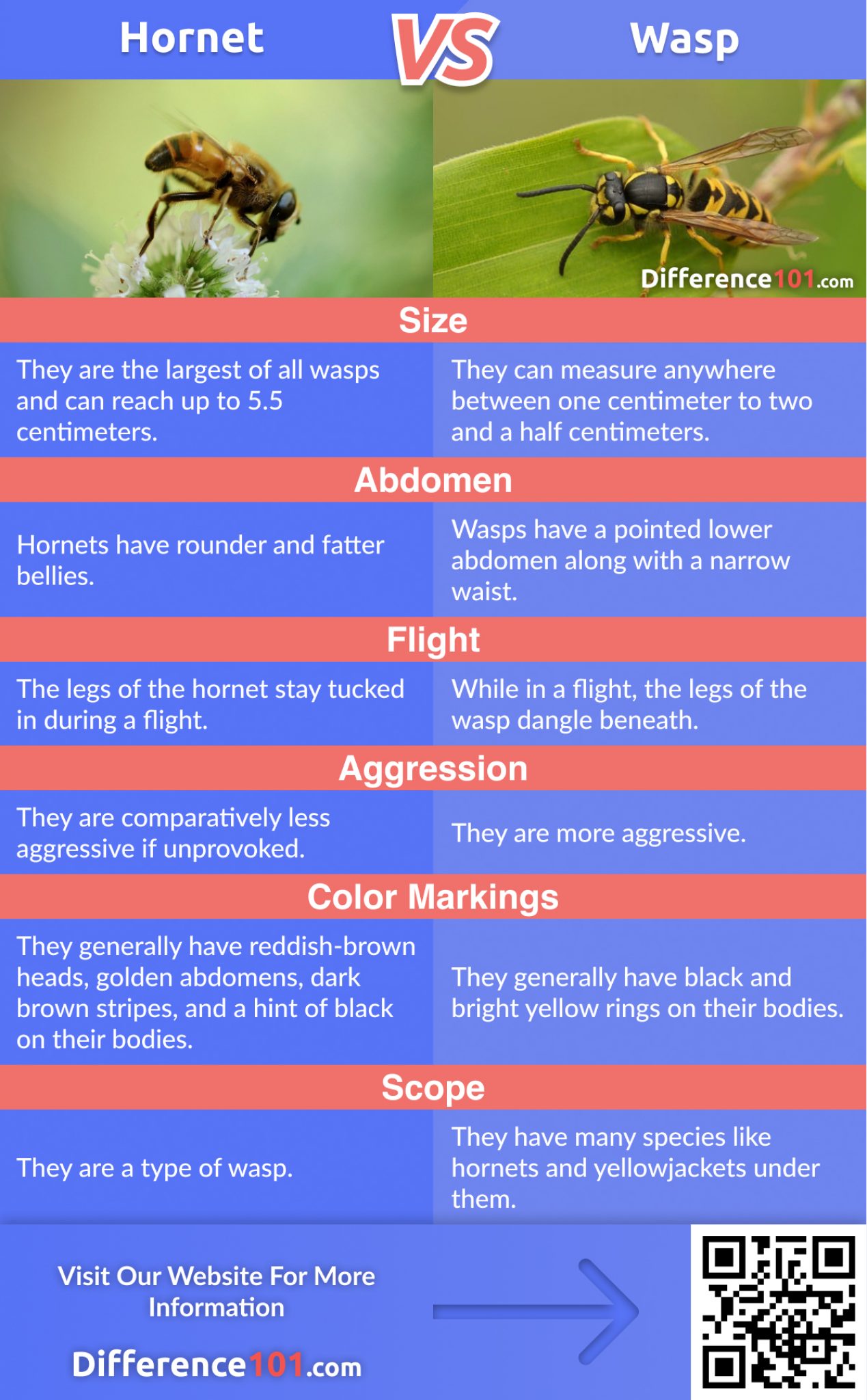 vs. Wasp Key Differences, Pros & Cons, FAQ Difference 101