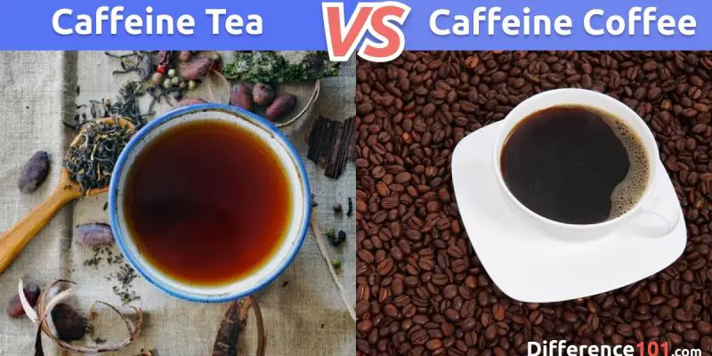 black tea caffeine black tea caffeine