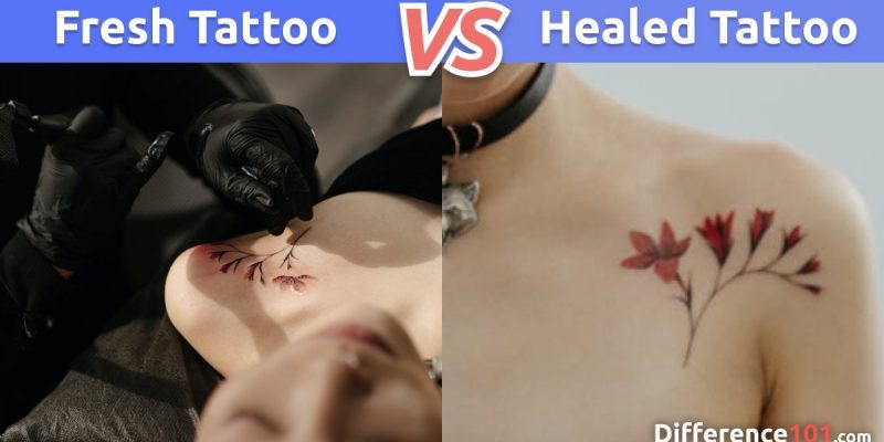 What is the difference between Fresh Tattoo vs. Healed Tattoo?