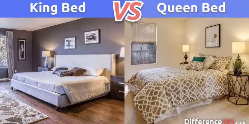 King vs. Queen Bed: What’s the Difference Between a King- and Queen-Size Bed?